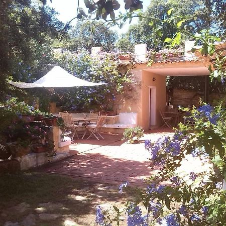 B&B Le Corti Di Aloa San Pantaleo Exterior foto