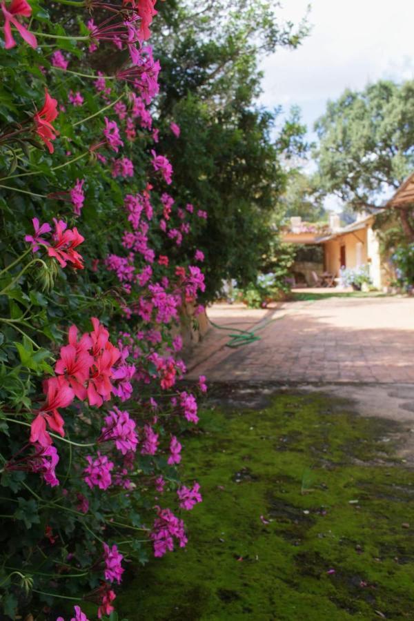 B&B Le Corti Di Aloa San Pantaleo Exterior foto