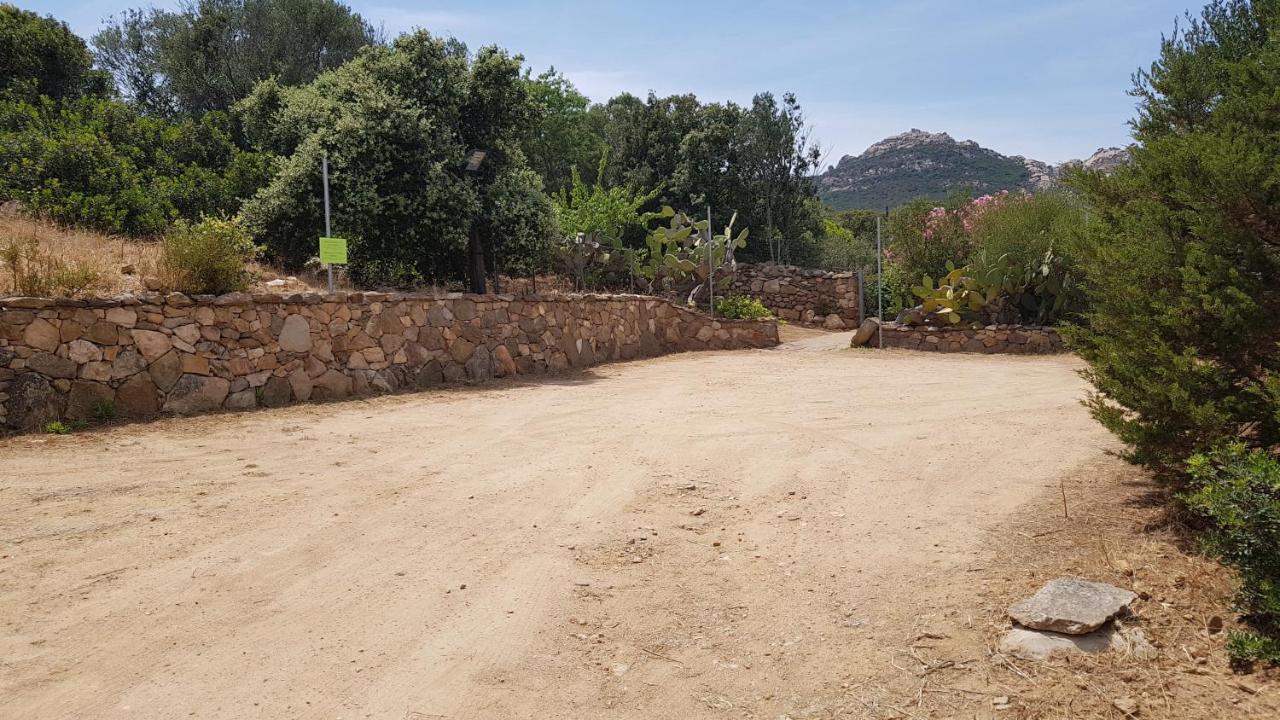 B&B Le Corti Di Aloa San Pantaleo Exterior foto