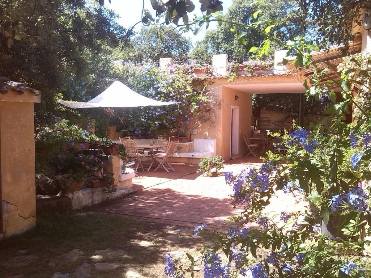 B&B Le Corti Di Aloa San Pantaleo Exterior foto